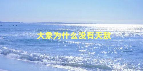 大象为什么没有天敌