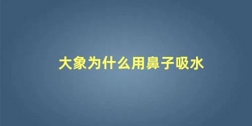 大象为什么用鼻子吸水