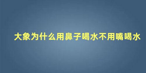 大象为什么用鼻子喝水不用嘴喝水
