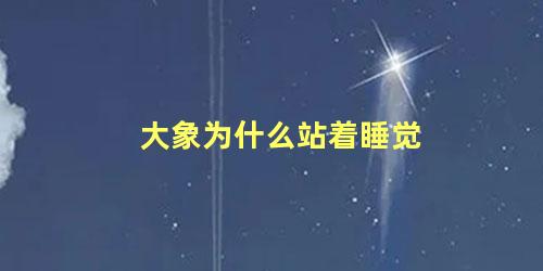 大象为什么站着睡觉