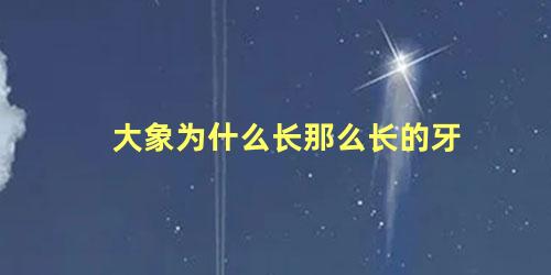 大象为什么长那么长的牙