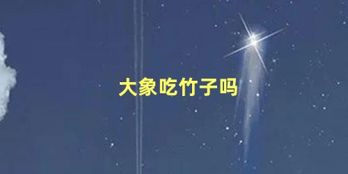 大象吃竹子吗