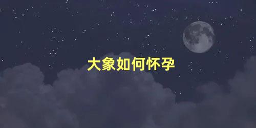 大象如何怀孕