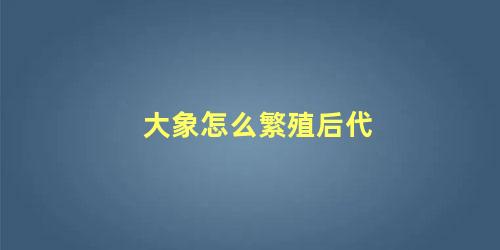 大象怎么繁殖后代