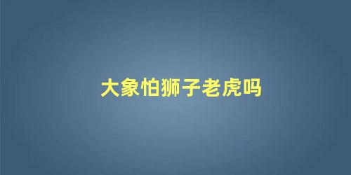 大象怕狮子老虎吗
