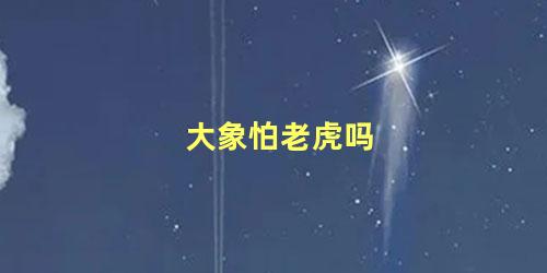 大象怕老虎吗