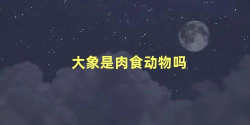 大象是肉食动物吗