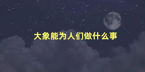 大象能为人们做什么事