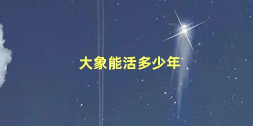 大象能活多少年