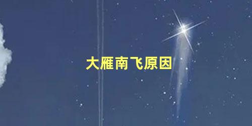 大雁南飞原因