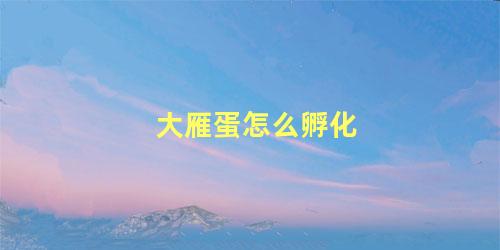 大雁蛋怎么孵化