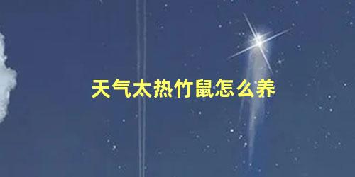 天气太热竹鼠怎么养