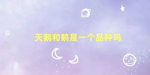 天鹅和鹅是一个品种吗