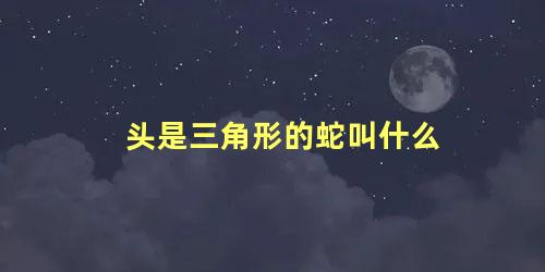 头是三角形的蛇叫什么