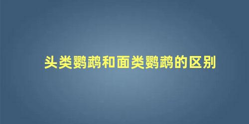 头类鹦鹉和面类鹦鹉的区别