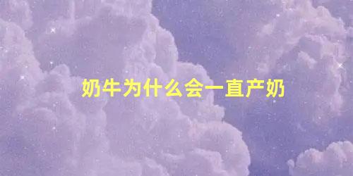 奶牛为什么会一直产奶