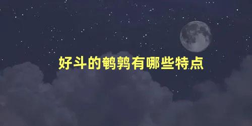 好斗的鹌鹑有哪些特点