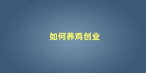 如何养鸡创业