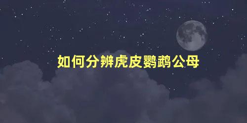 如何分辨虎皮鹦鹉公母