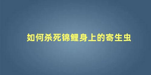 如何杀死锦鲤身上的寄生虫