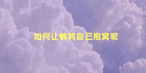 如何让鹌鹑自己抱窝呢