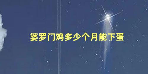 婆罗门鸡多少个月能下蛋