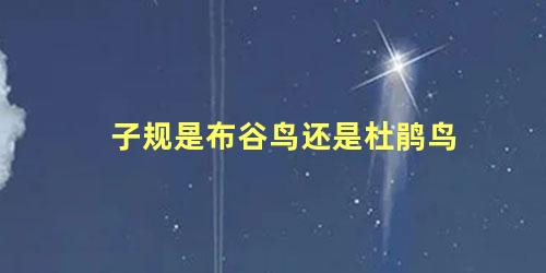 子规是布谷鸟还是杜鹃鸟