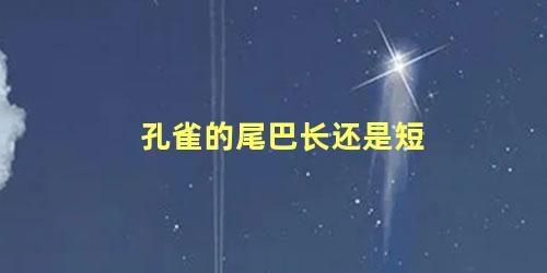 孔雀的尾巴长还是短