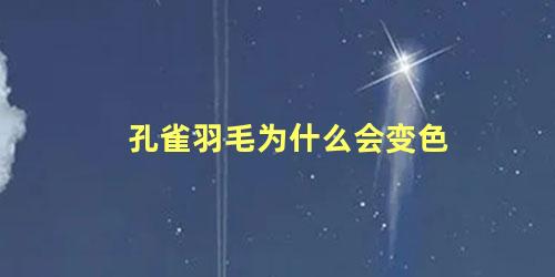 孔雀羽毛为什么会变色