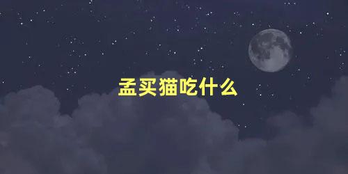 孟买猫吃什么