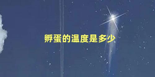 孵蛋的温度是多少