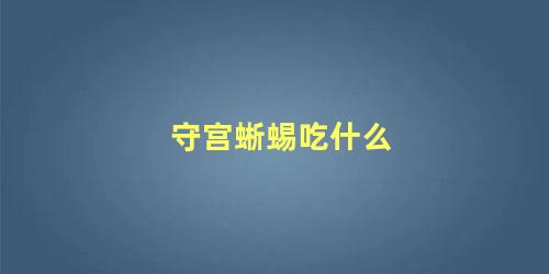 守宫蜥蜴吃什么