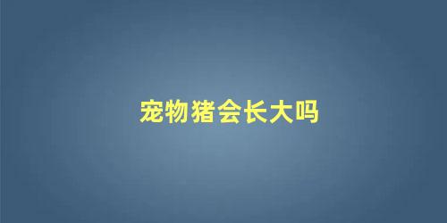 宠物猪会长大吗