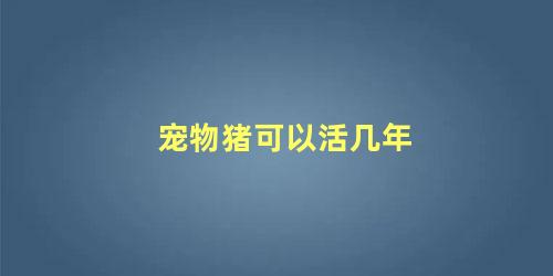 宠物猪可以活几年
