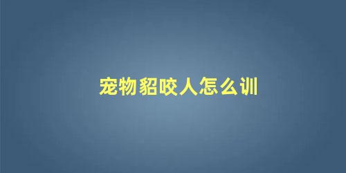 宠物貂咬人怎么训