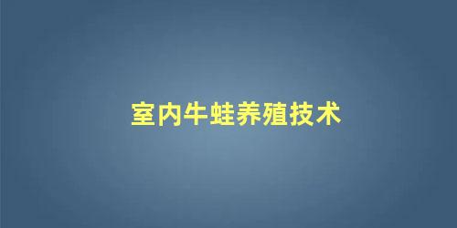 室内牛蛙养殖技术