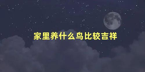 家里养什么鸟比较吉祥