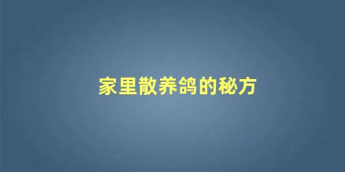 家里散养鸽的秘方
