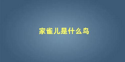 家雀儿是什么鸟
