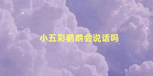 小五彩鹦鹉会说话吗
