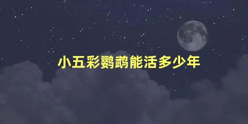 小五彩鹦鹉能活多少年