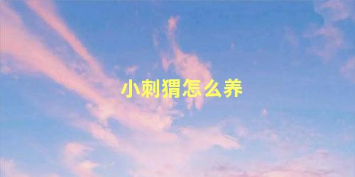 小刺猬怎么养