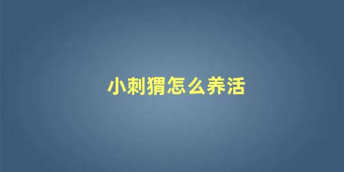 小刺猬怎么养活