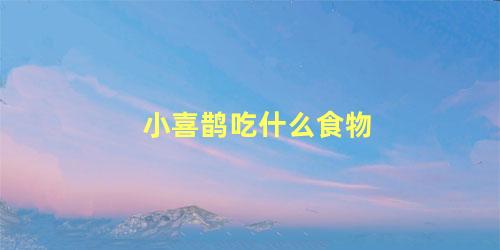 小喜鹊吃什么食物