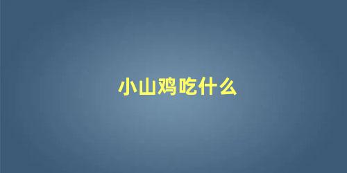 小山鸡吃什么