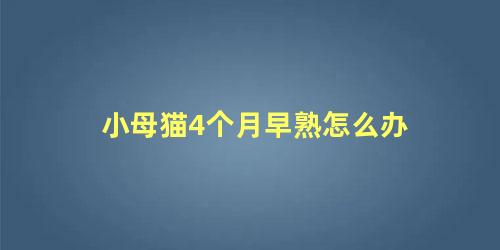 小母猫4个月早熟怎么办