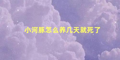小河豚怎么养几天就死了