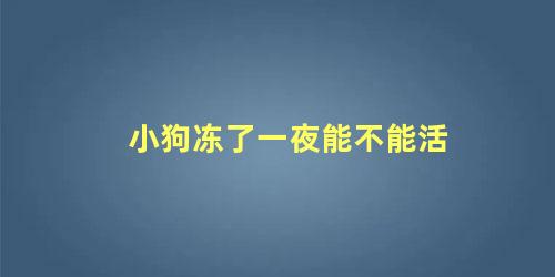 小狗冻了一夜能不能活