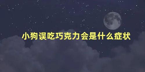小狗误吃巧克力会是什么症状