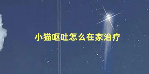 小猫呕吐怎么在家治疗